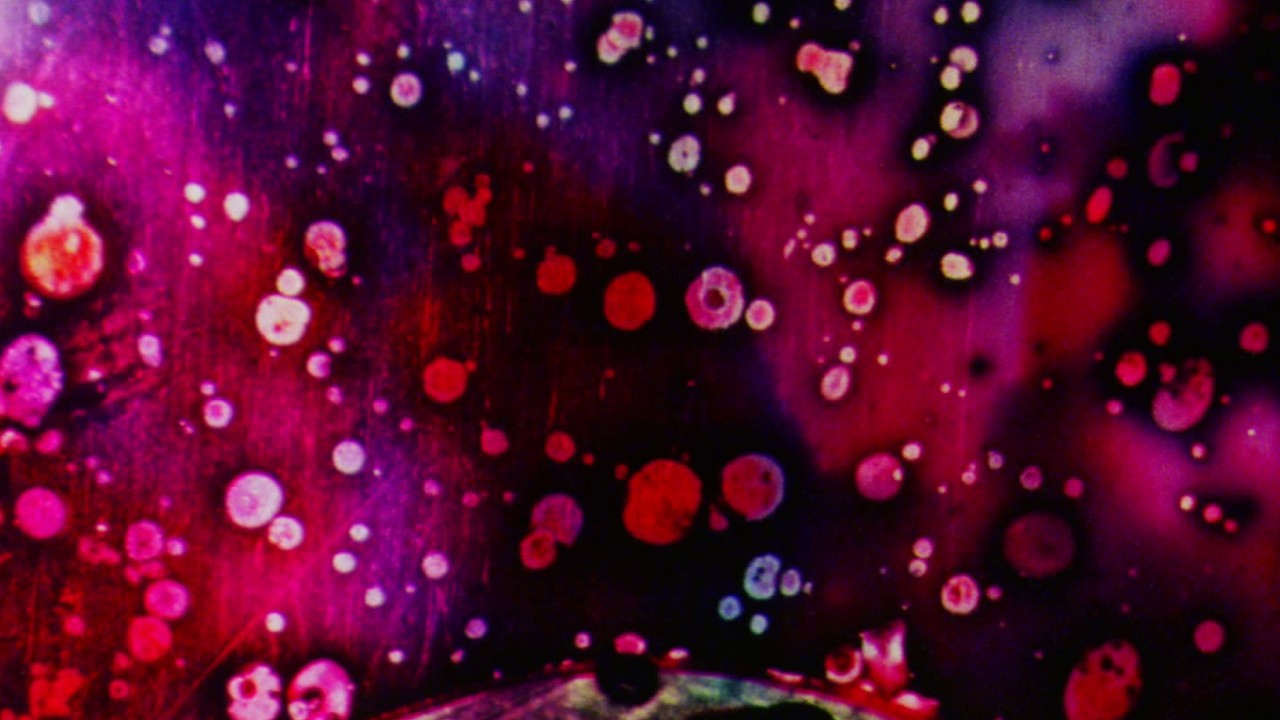 Freaky Particles The Production and Decay of Strange Particles (2008) | MUBI