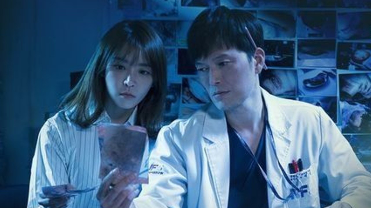 Investigation Partners