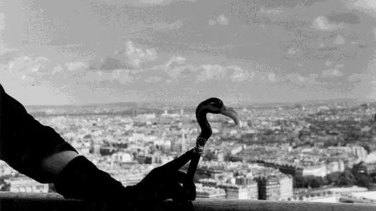 Image du film À vol d’oiseaux