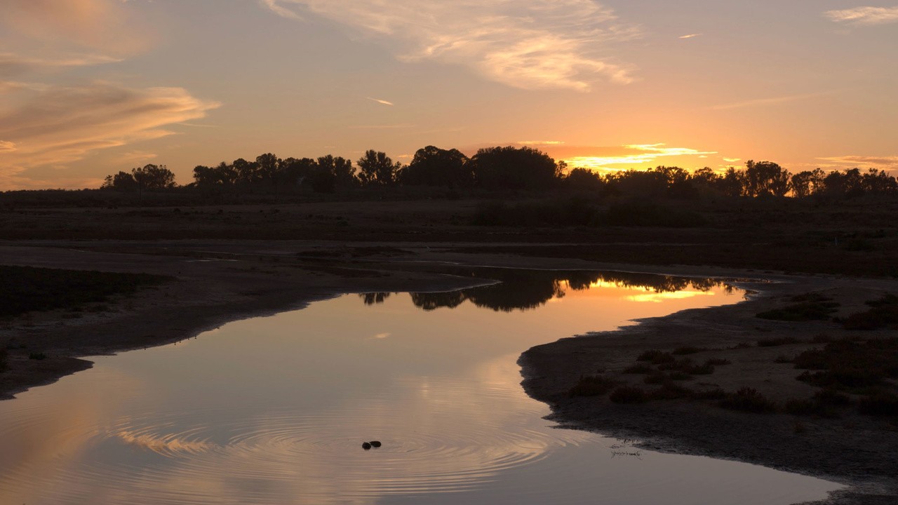 Bringing Back Our Wetland