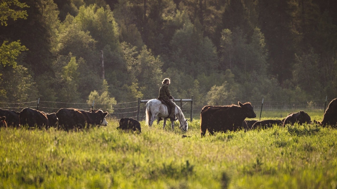 Range Rider (2023) MUBI