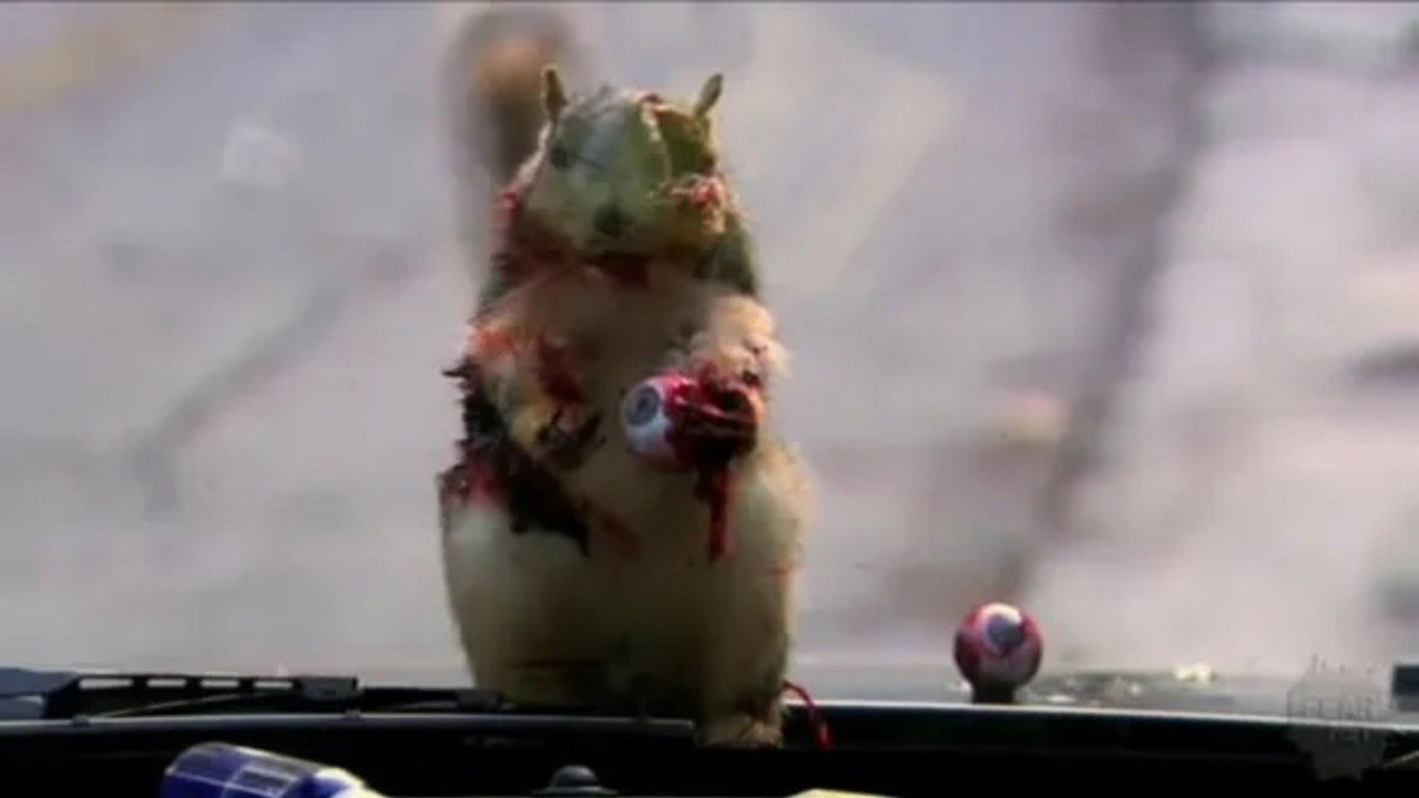 Zombie Roadkill