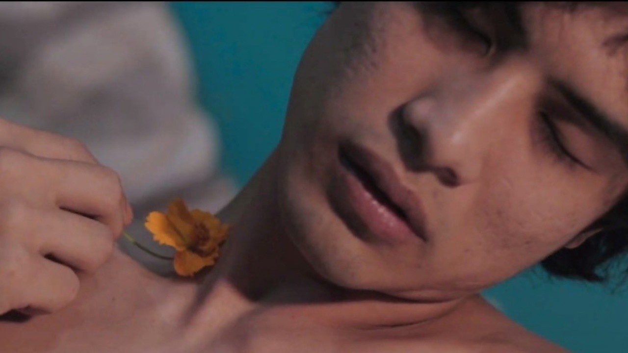The Flowers and Sorrow He Gave Me