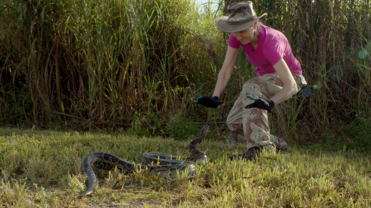 Python Huntress Movie Python Huntress (2023) | MUBI