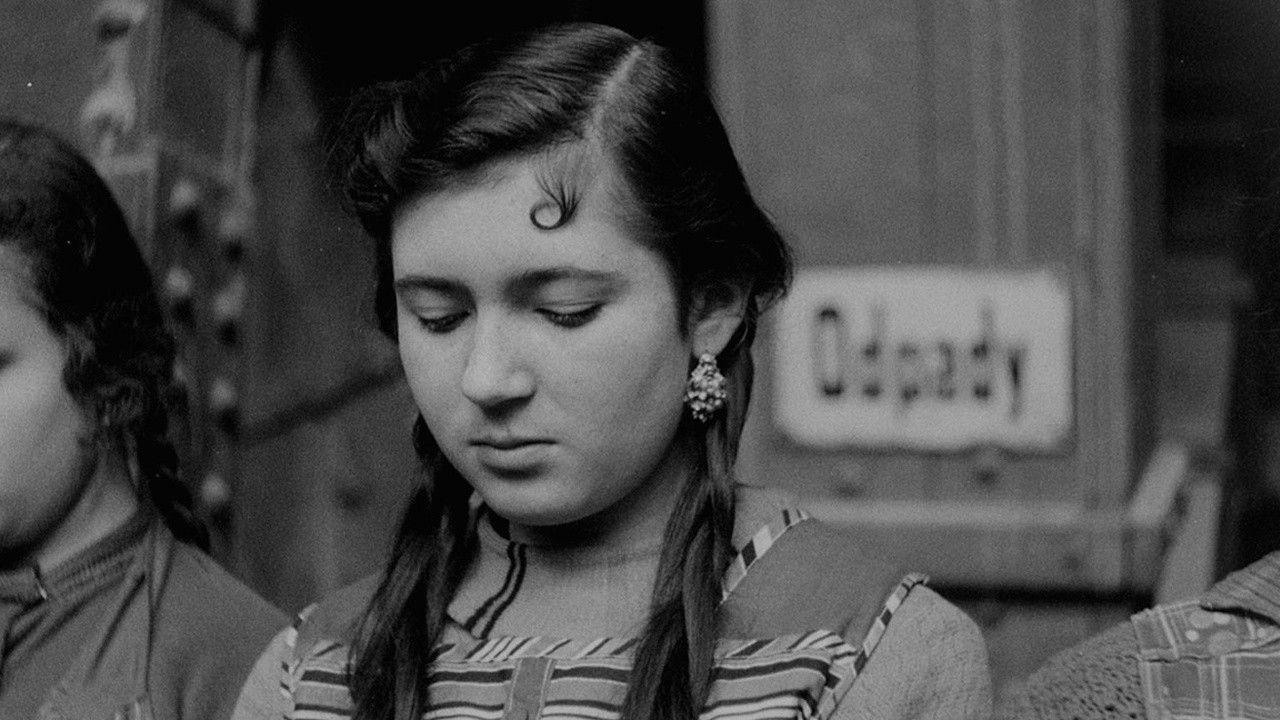 Mi holocausto: Philomena Franz