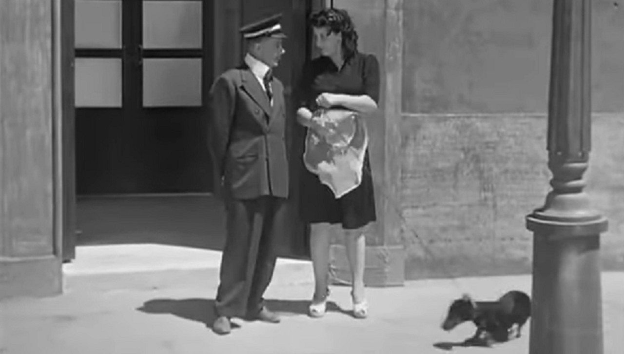 Gli assi della risata