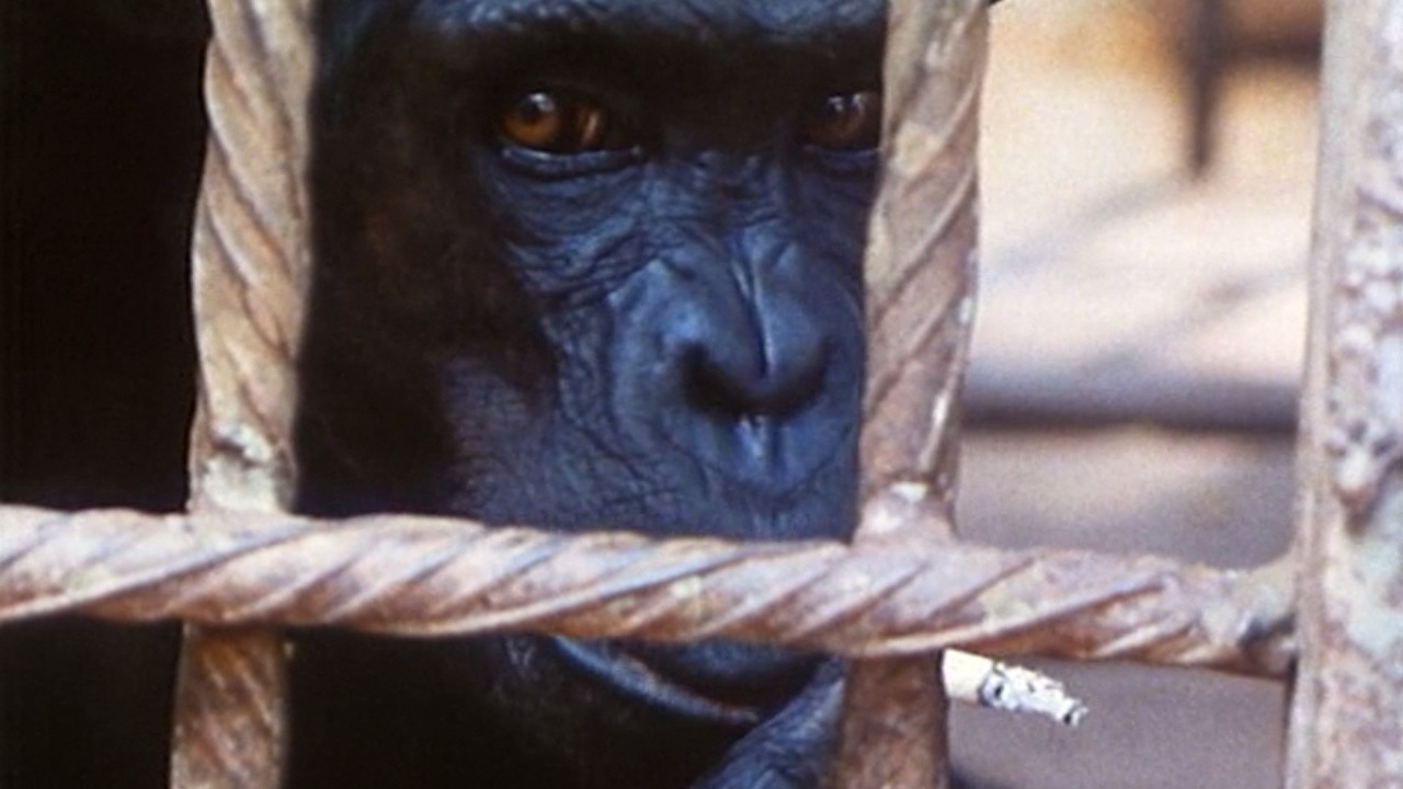 Image du film Echos d'un sombre empire
