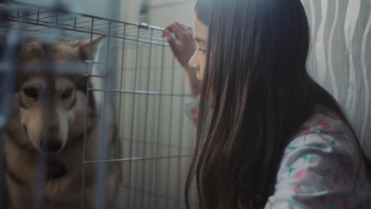 Hello, Muscles (2022) | MUBI