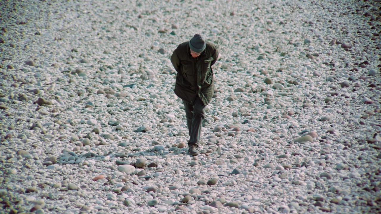 Image du film La ricerca