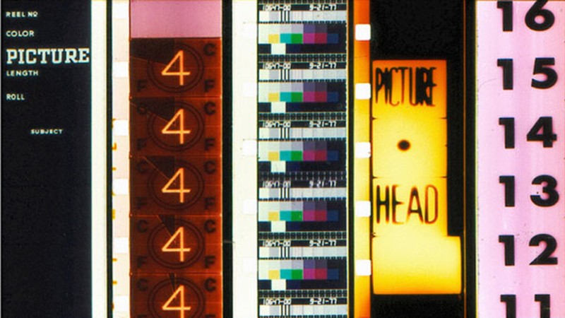Protecting Leader Protection Leader (1995) | MUBI