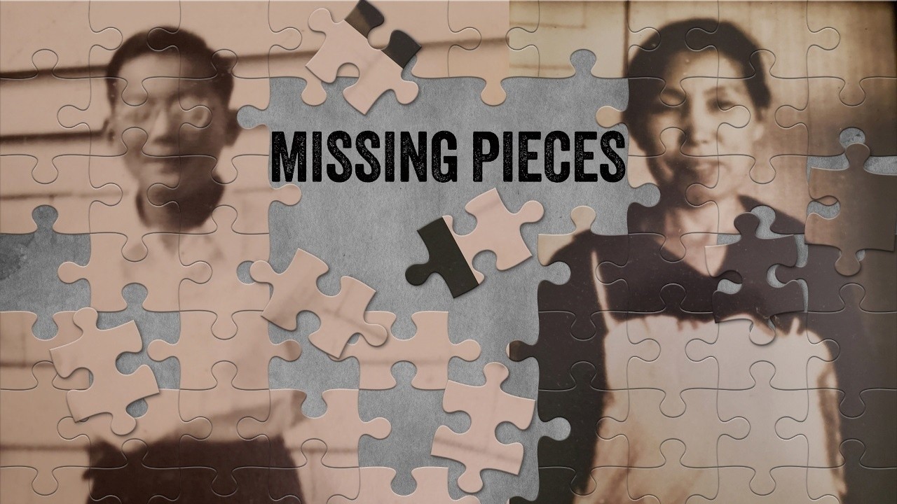 Missing Pieces