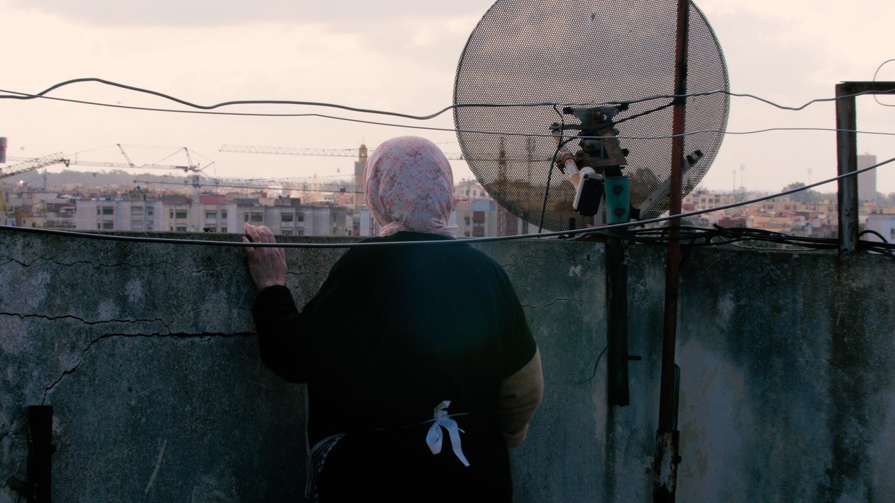 Image du film La Mère de tous les mensonges
