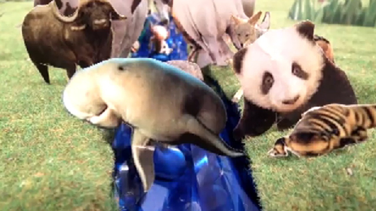 Animal Beatbox