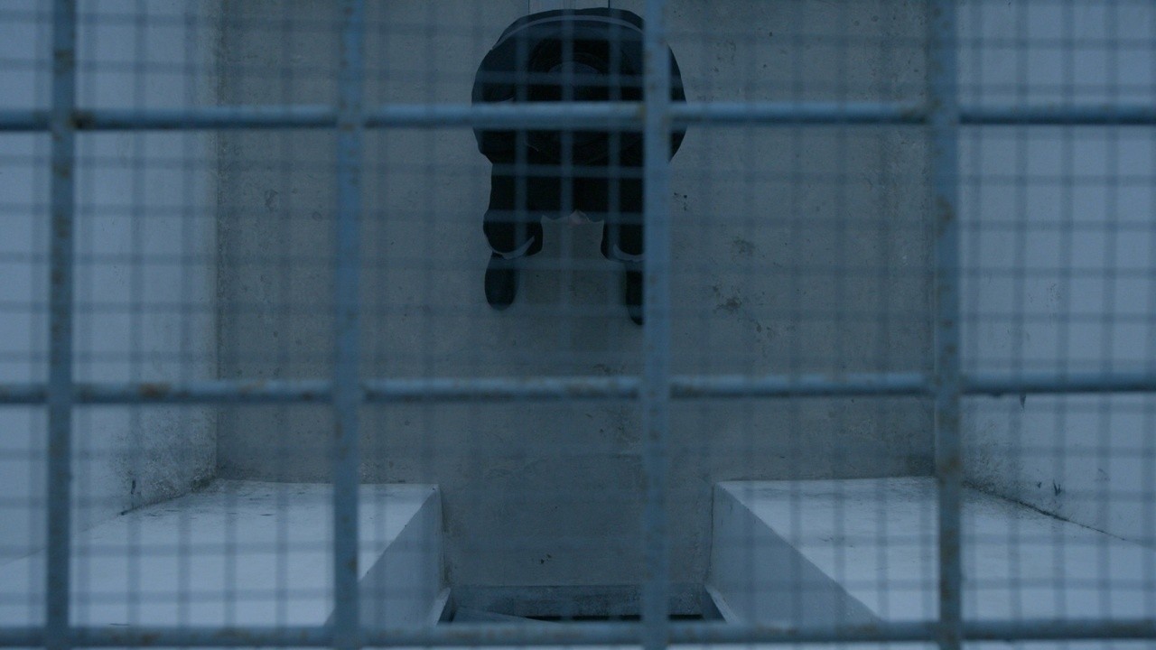 The Vladimir Central