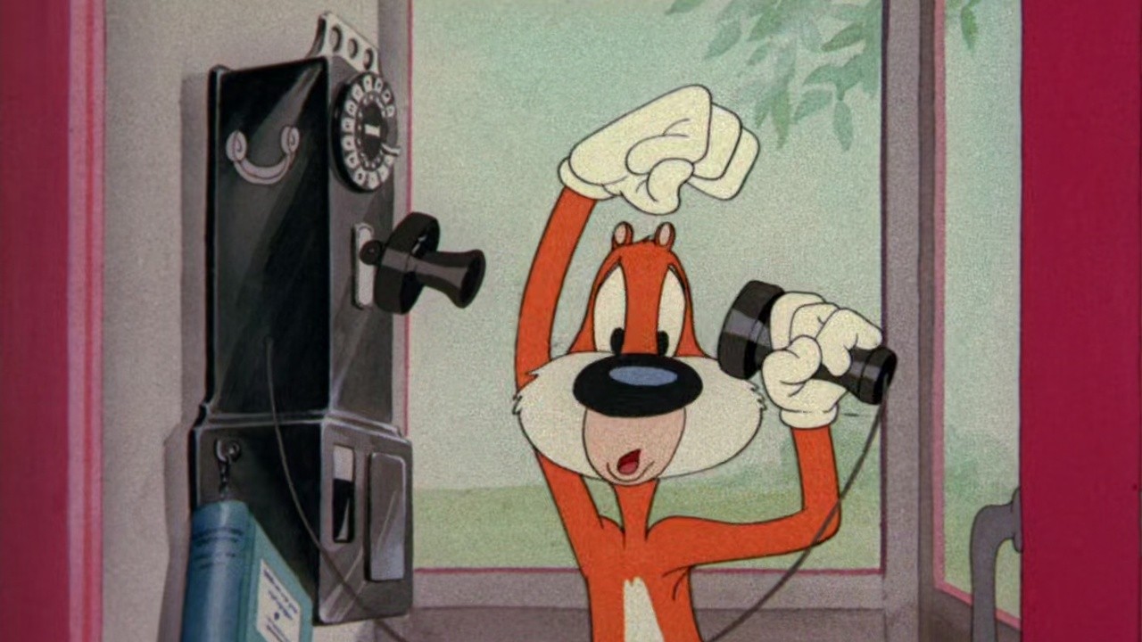 Screwball Squirrel
