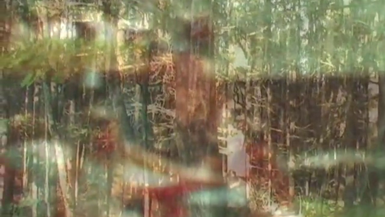 Hippie Home Movie