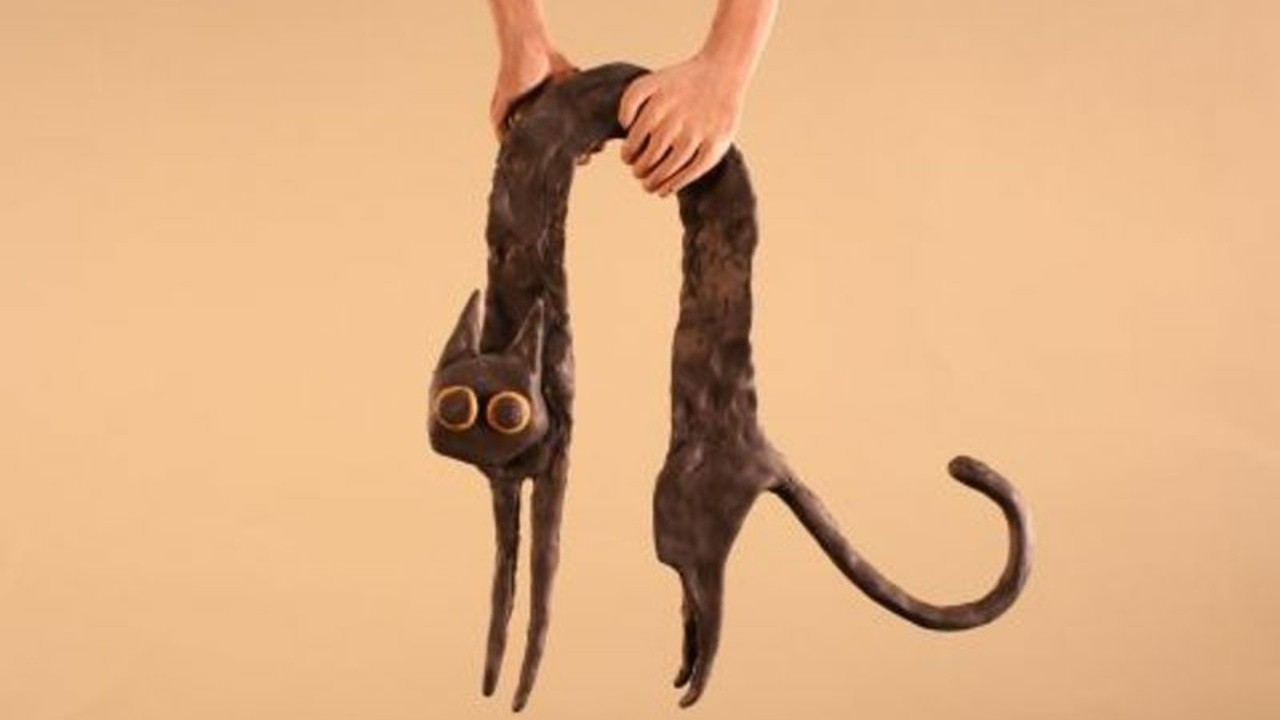 Cats are Liquid