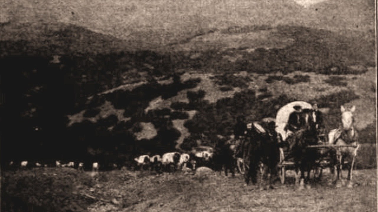 One Hundred Years of Mormonism