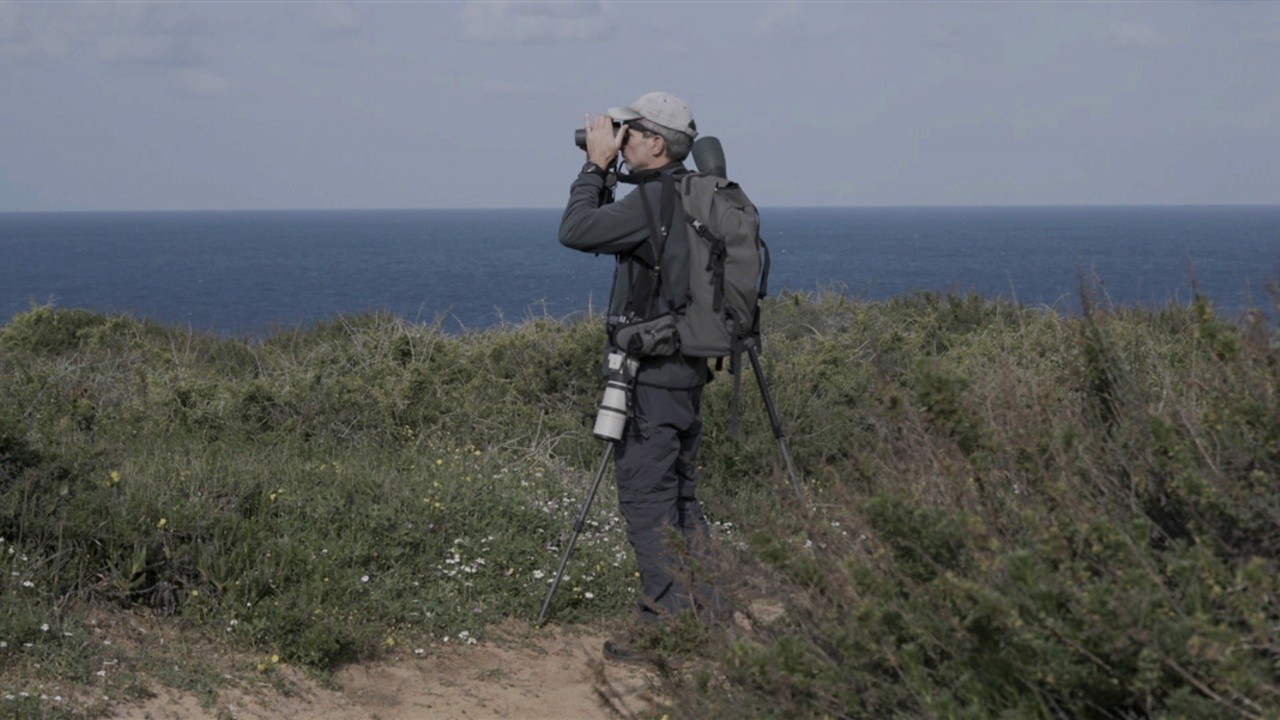 Observation Diary