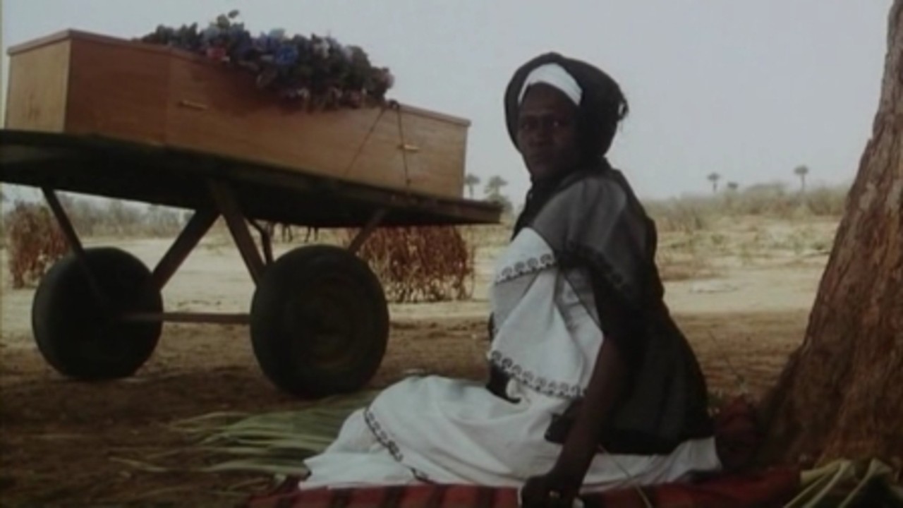 Image du film Guelwaar