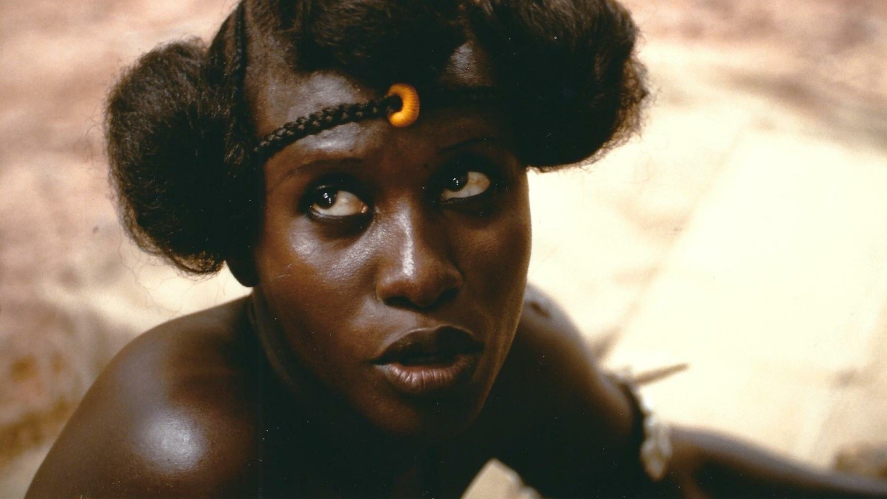Image du film Sarraounia