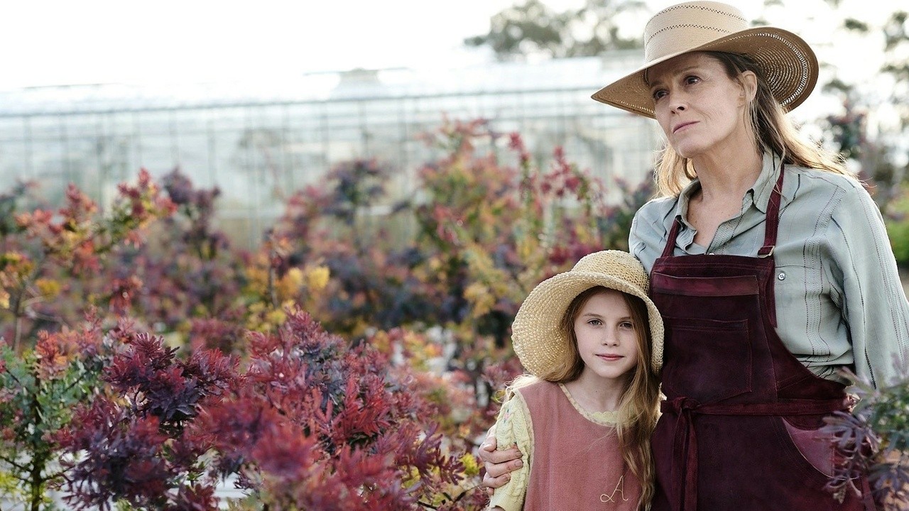 The Lost Flowers of Alice Hart