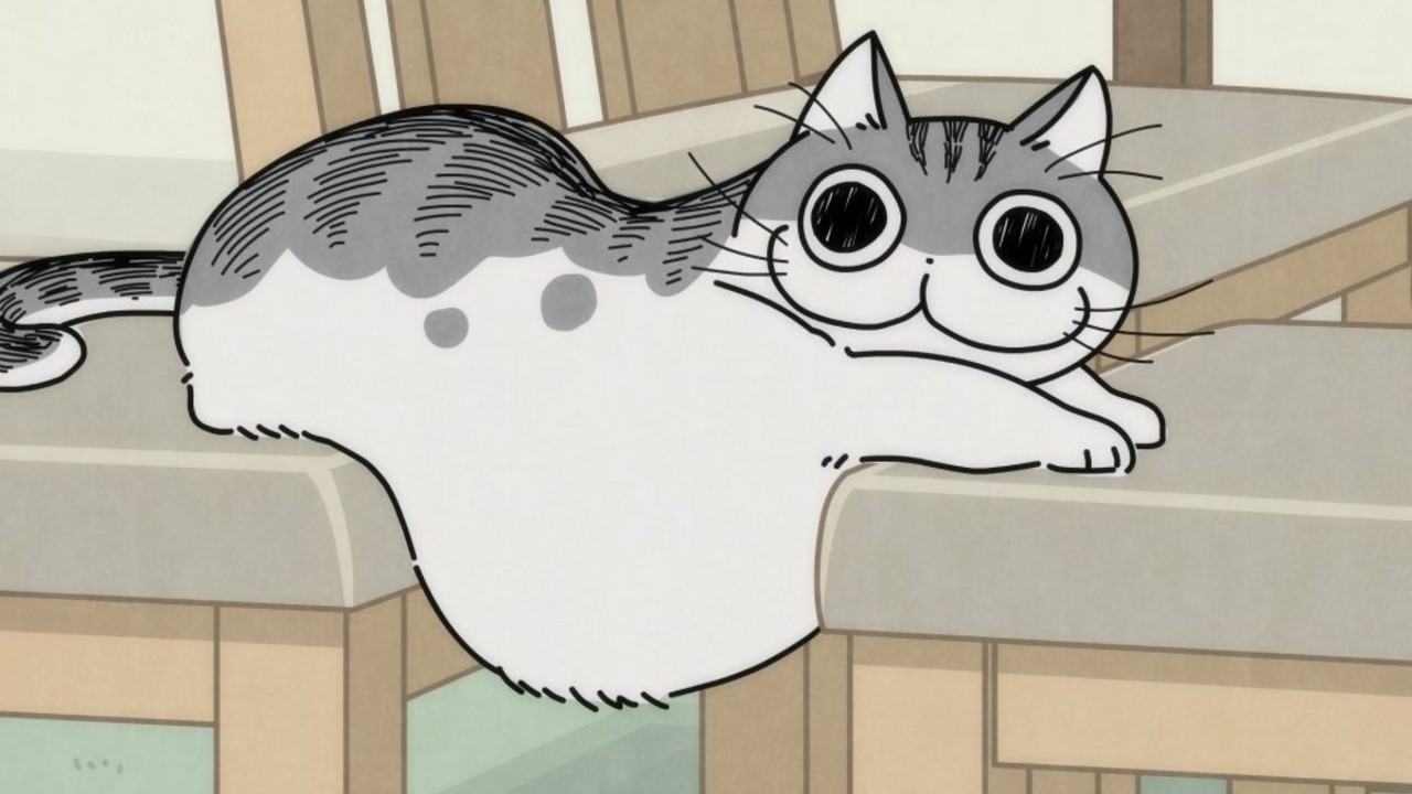 Nights with a Cat (2022) | MUBI