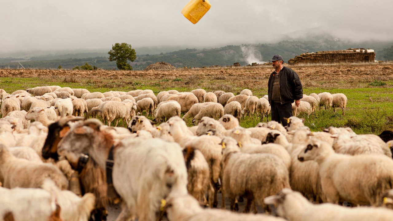 Image du film La Dernière transhumance