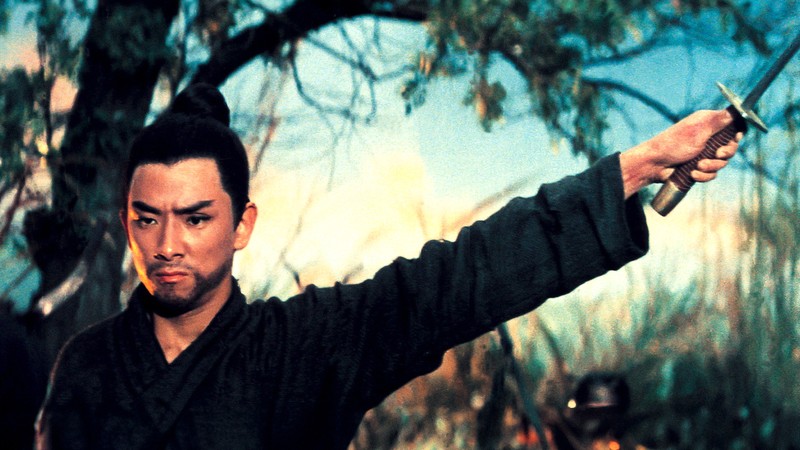 The One-Armed Swordsman