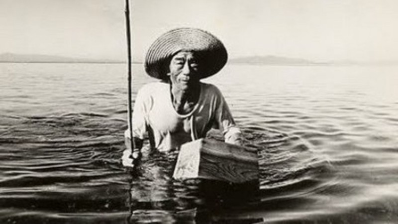 Minamata: The Victims and Their World