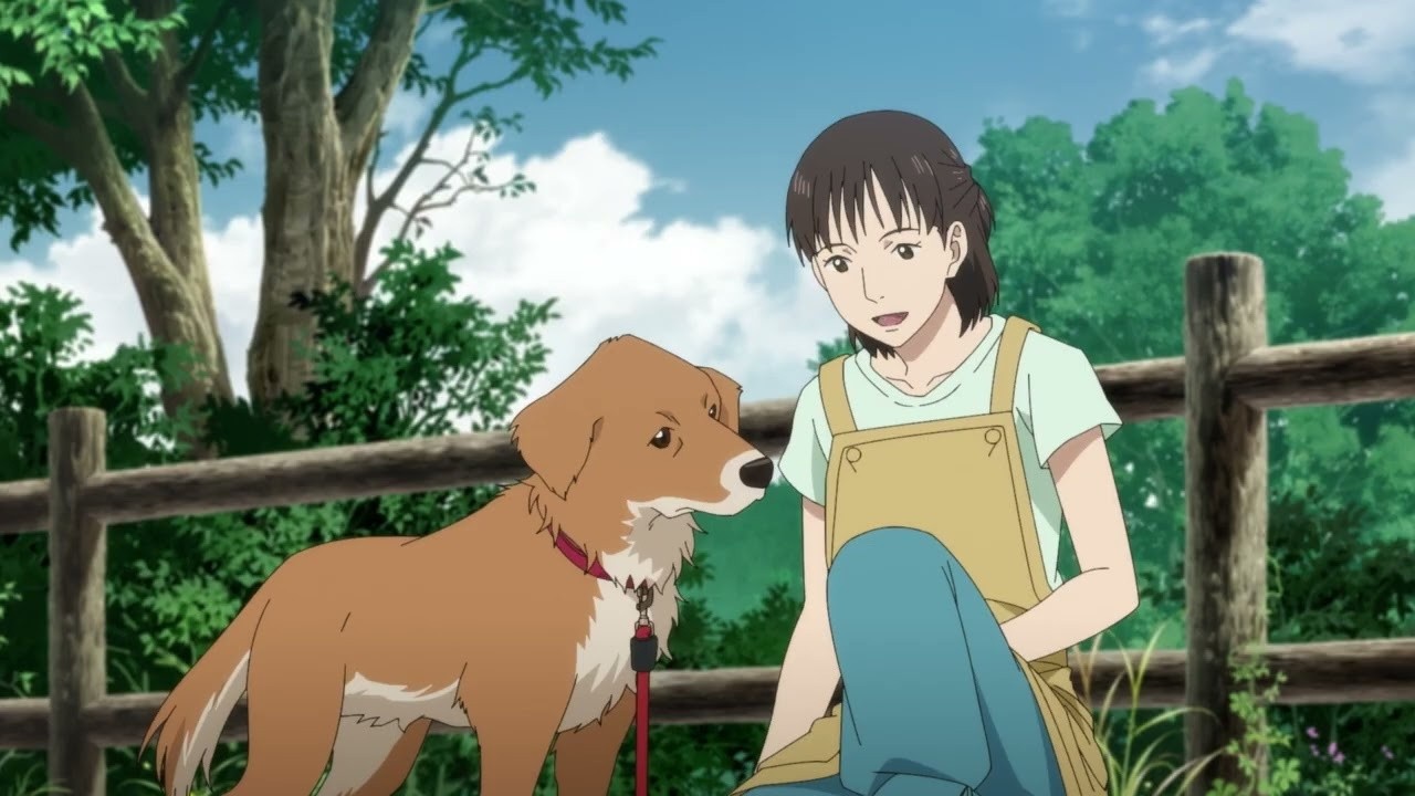 Gonta: The Story of The Two-Named Dog in The Fukushima Disaster