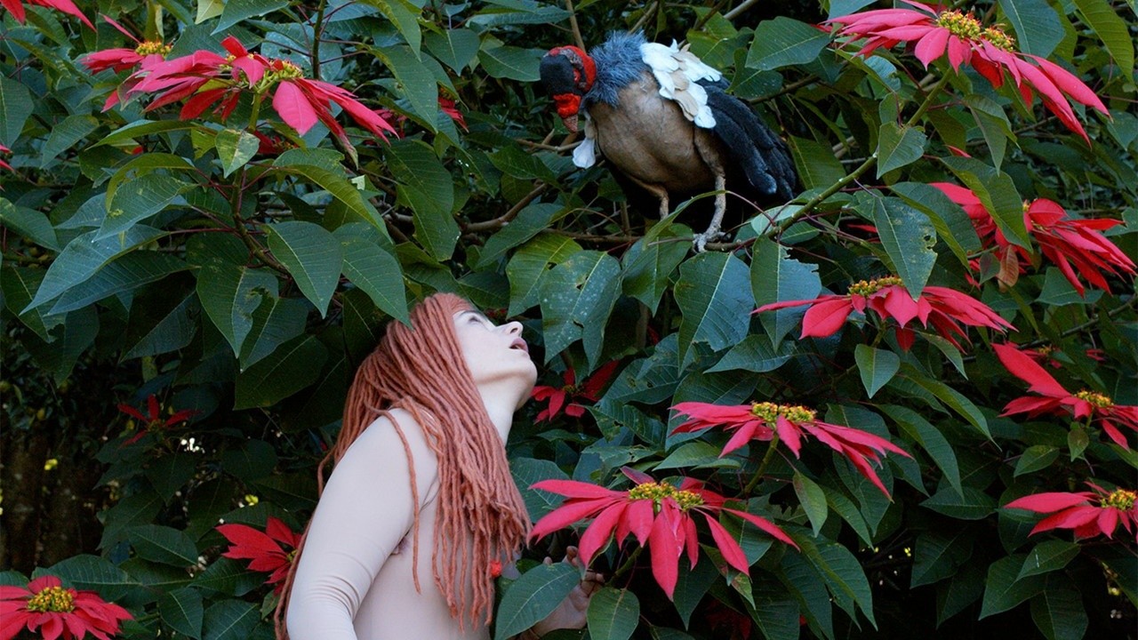 The Diaries of Adam and Eve
