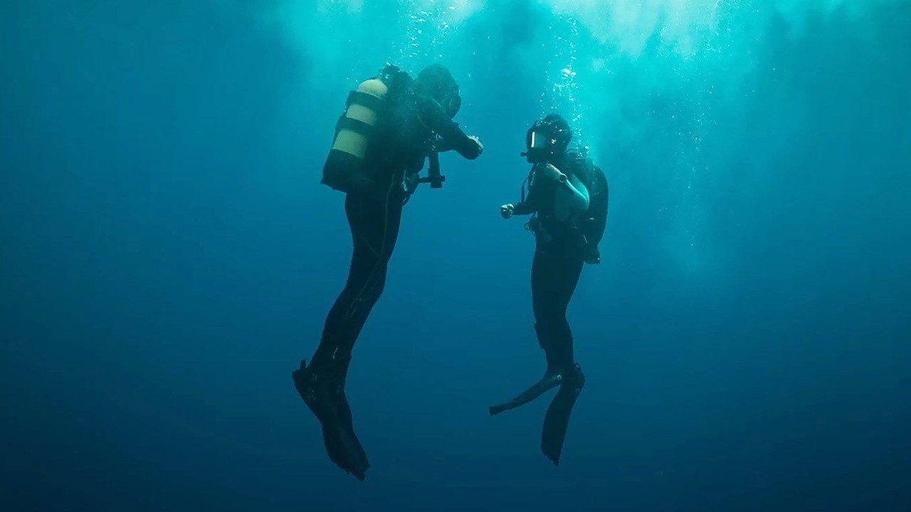 The Dive