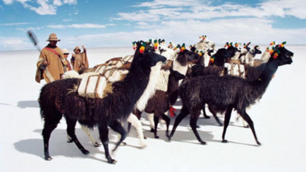 The Gift of Pachamama