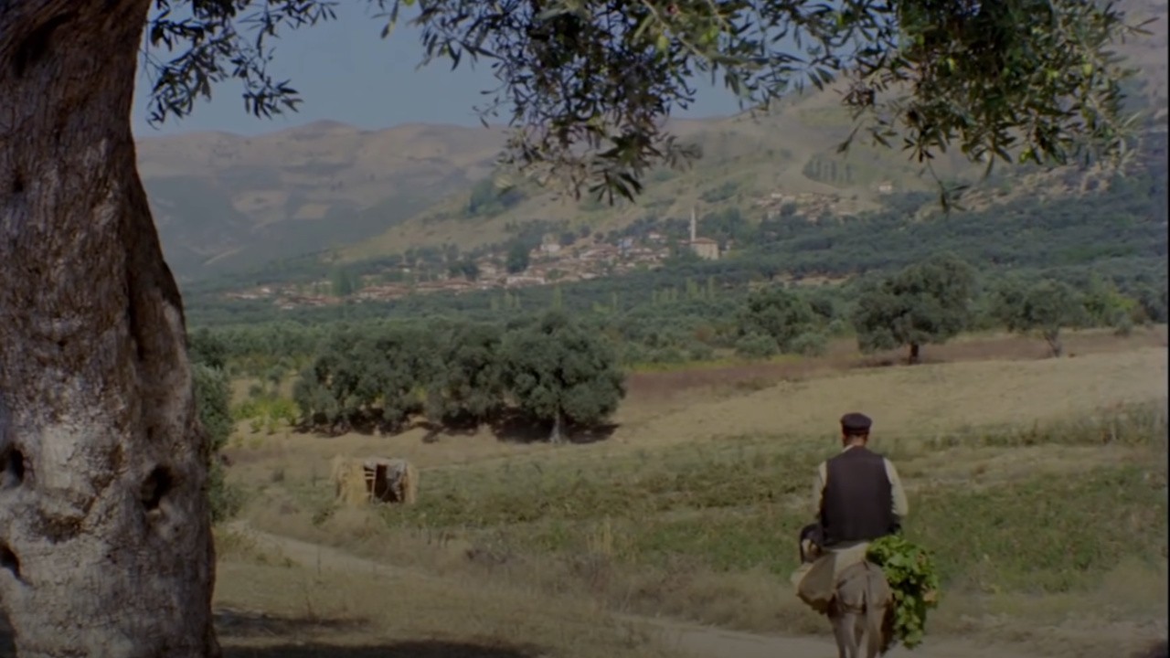 Keloğlan Aramızda