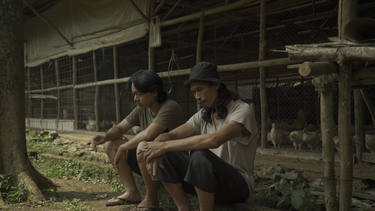 The Chicken Who isn't There