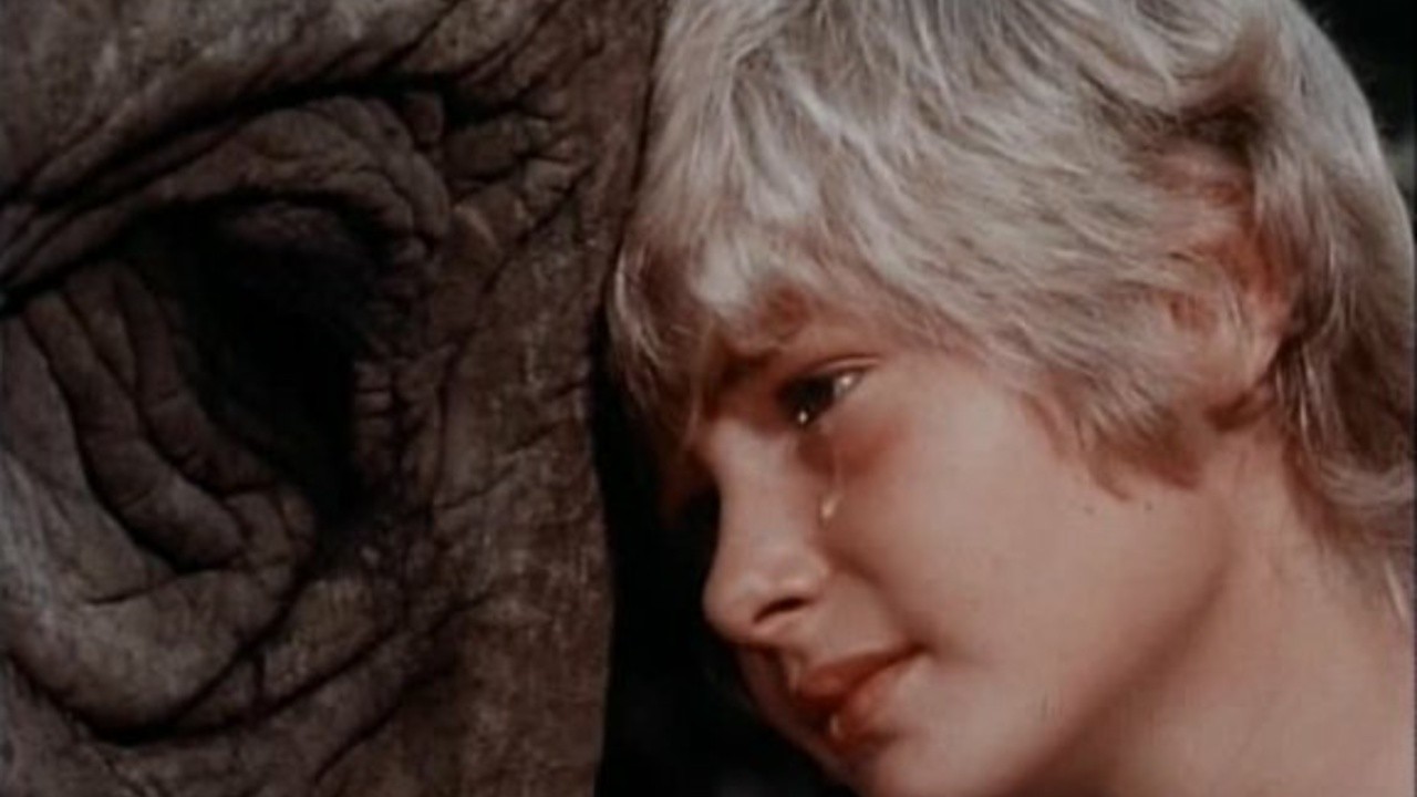 The Boy Who Stole the Elephant