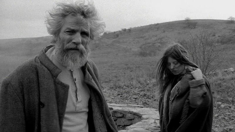 Le cheval de Turin (2011) | MUBI