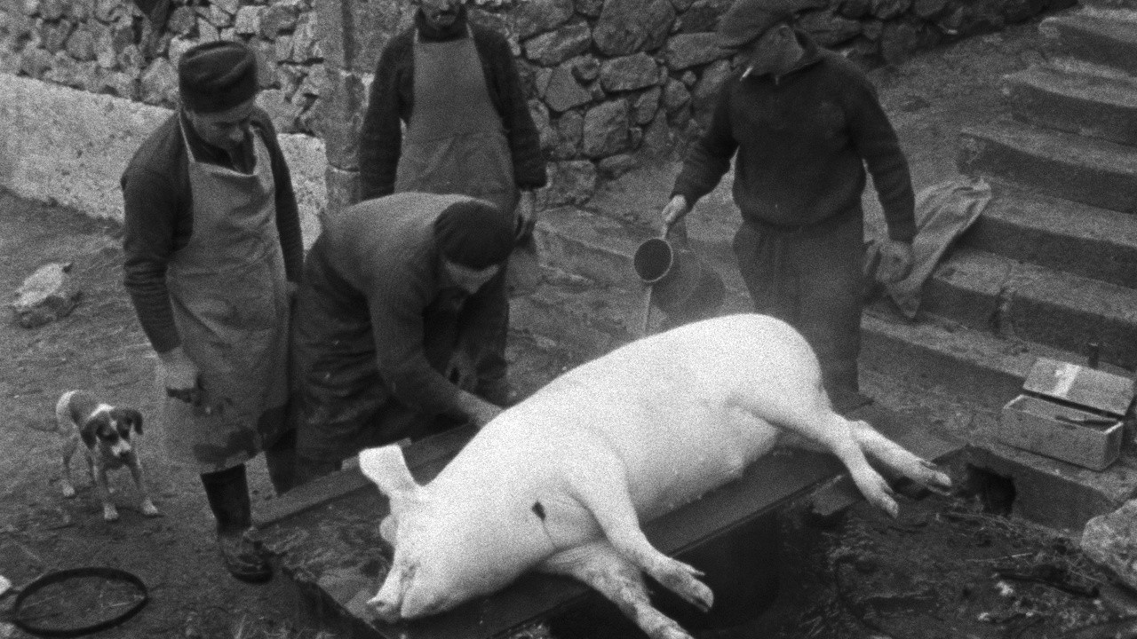 Image du film Le Cochon