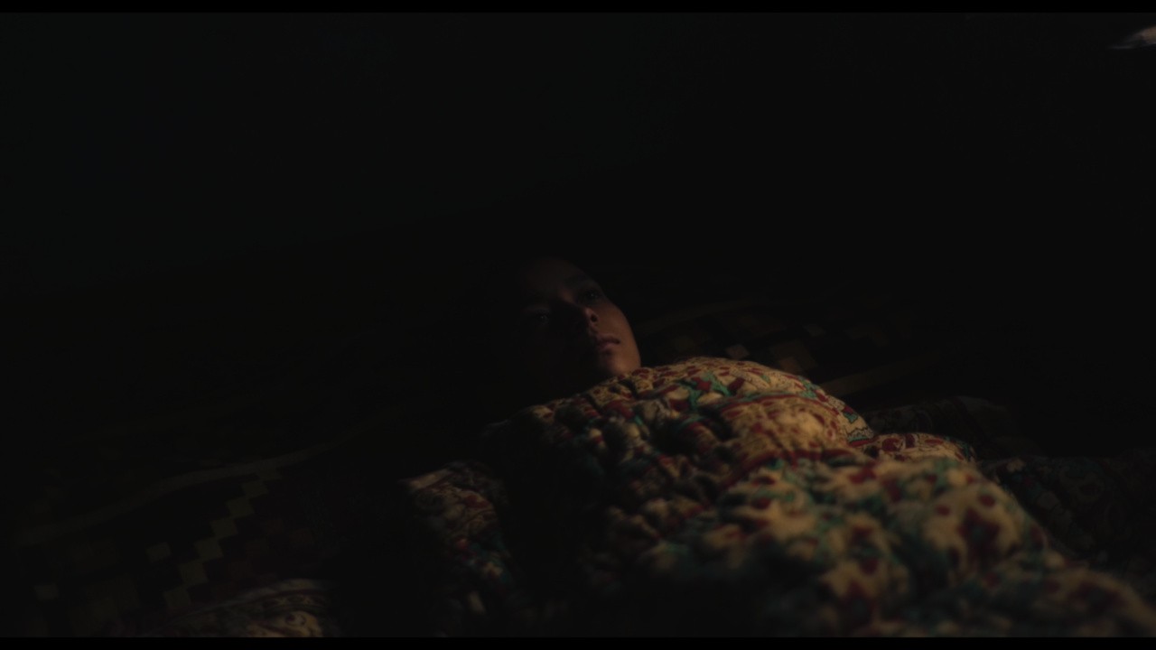 The Last Rhododendron