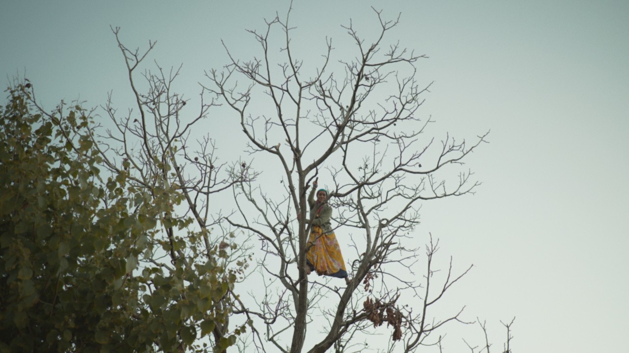 The Last Rhododendron