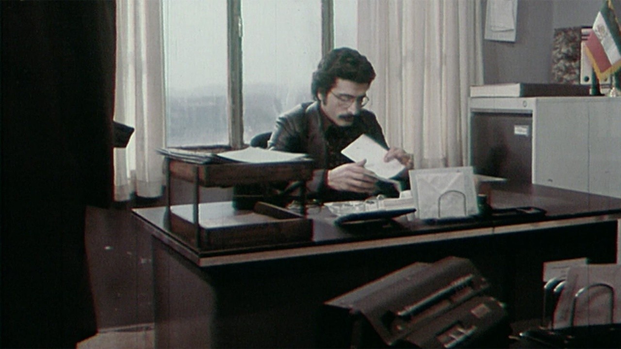 The Report