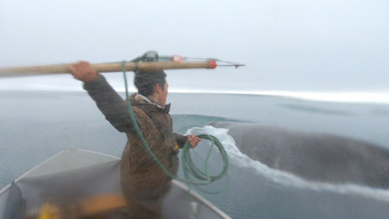 Image du film One with the Whale