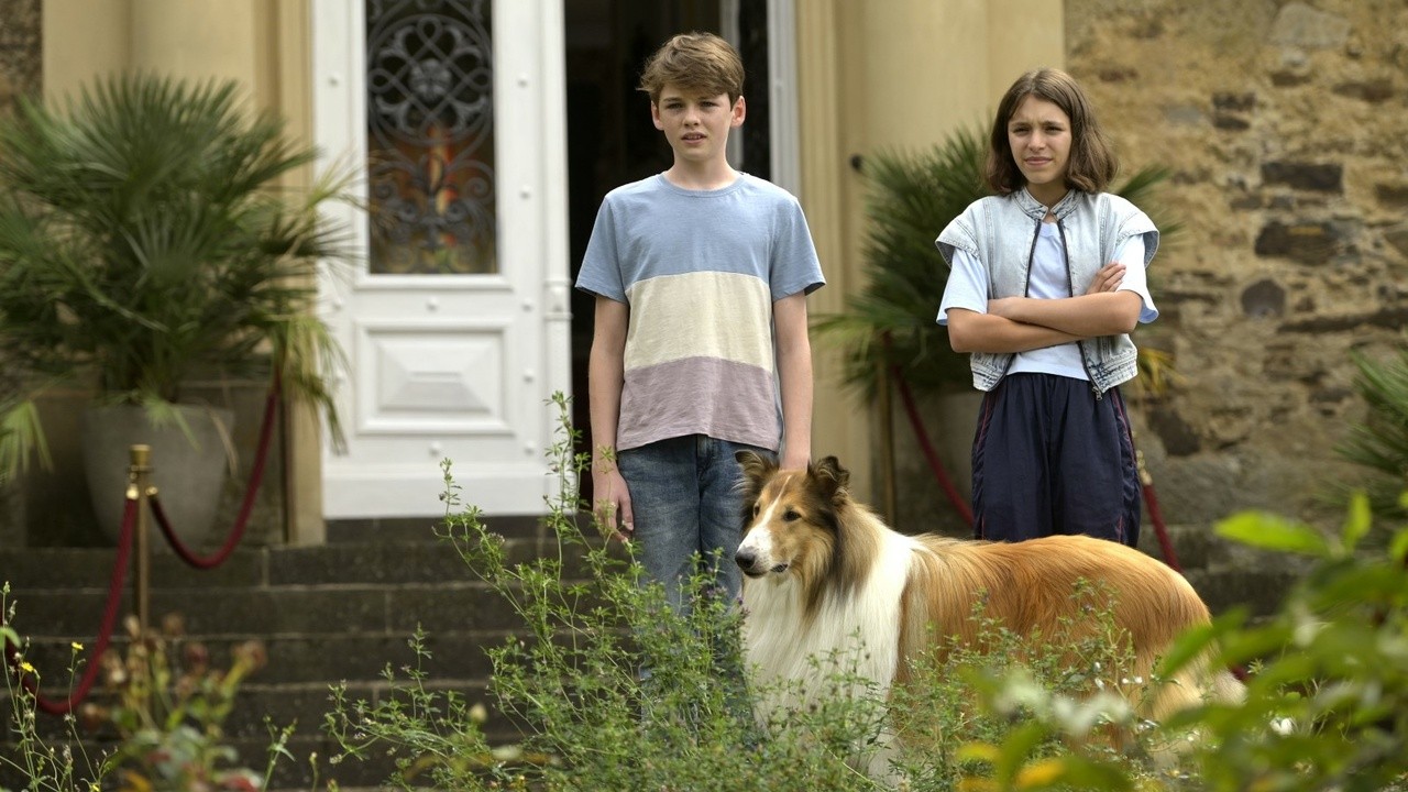 Image du film Lassie - Ein neues Abenteuer