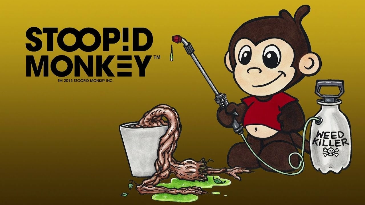 Stoopid Monkey
