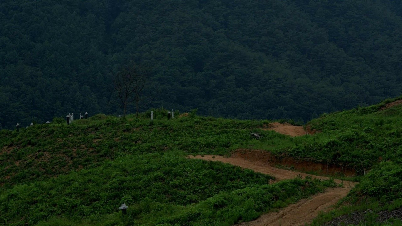 Last Summer 2023 Mubi