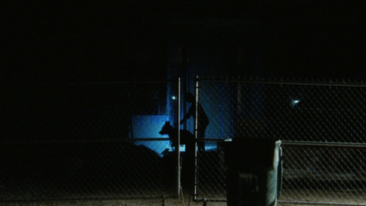 Nothing But Shadows