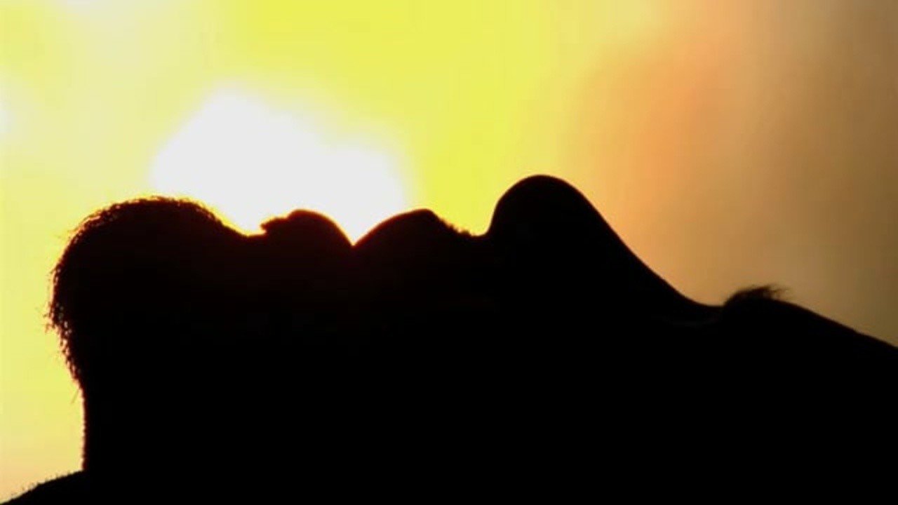 Ben Harper: Morning Yearning [MV]