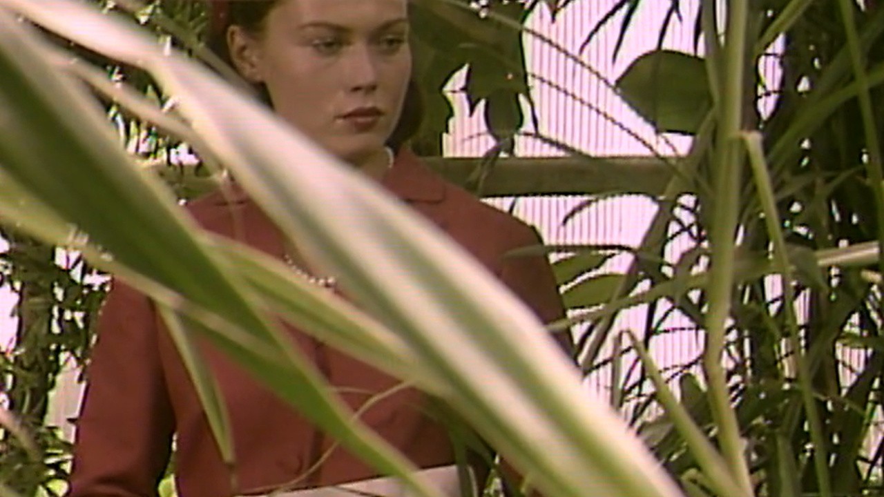 Elsk meg Bort fra min Bristende Barndom