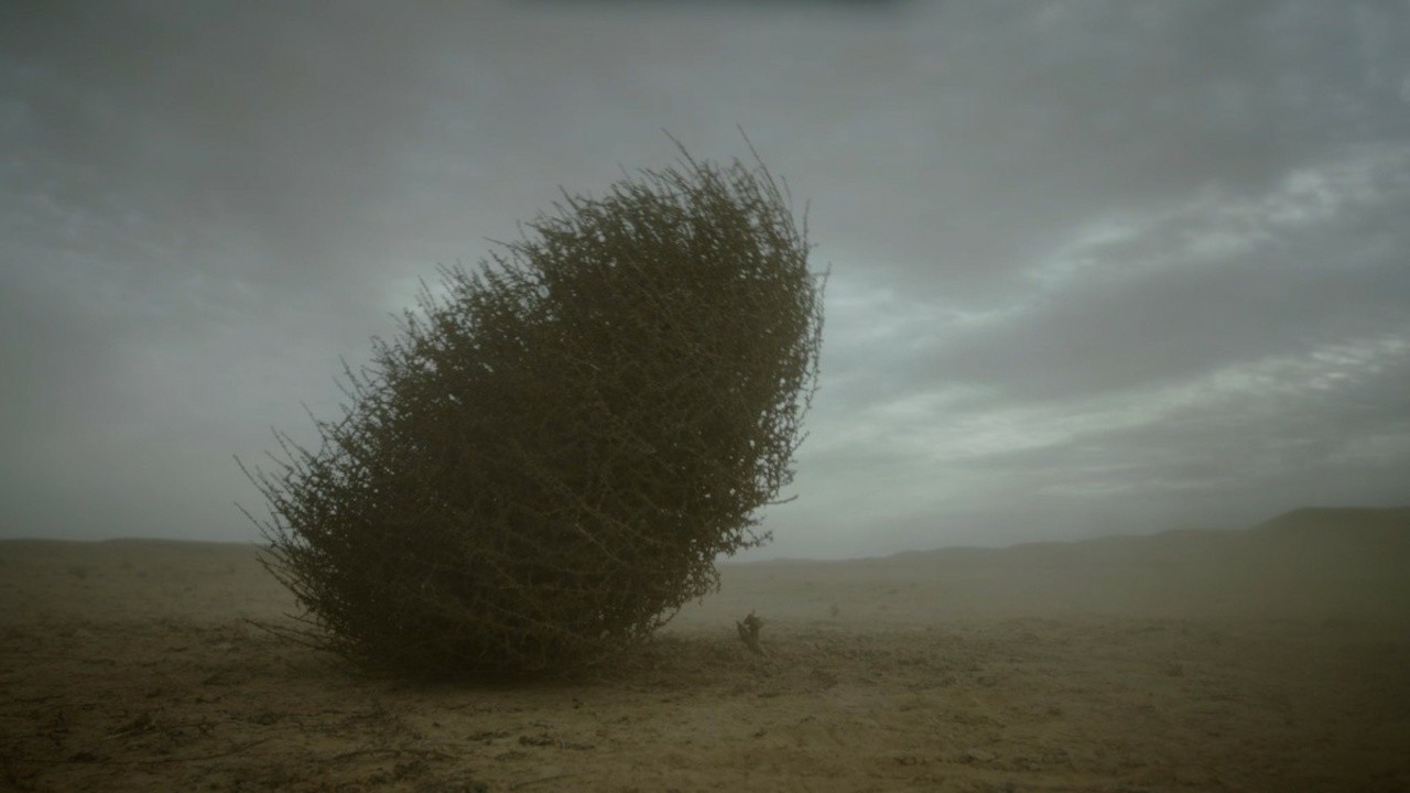 Blowing in the Wind
